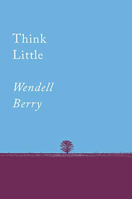 Think Little: Essays (Counterpoints Series)