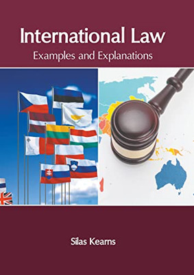 International Law: Examples and Explanations