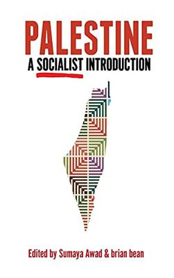 Palestine: A Socialist Introduction - 9781642594126