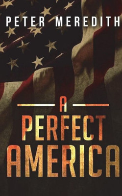 A Perfect America