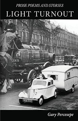 Light Turnout: Prose Poems and Stories - 9781646627097