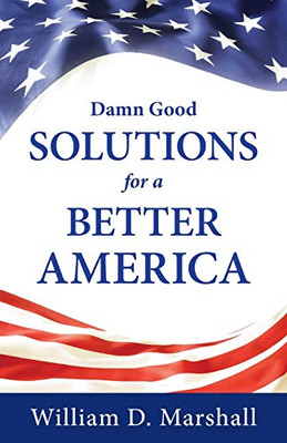 Damn Good Solutions for a Better America - 9781643883786