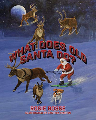 What Does Old Santa Do? - 9781643180632