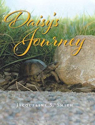 Daisy's Journey - 9781648015984