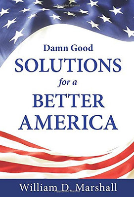 Damn Good Solutions for a Better America - 9781643883793