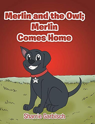 Merlin and the Owl: Merlin Comes Home - 9781646704453