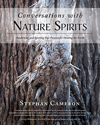 Conversations with Nature Spirits: Awakening and Igniting Our Passion for Healing the Earth - 9781643884738