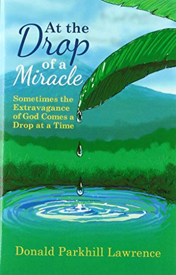 At the Drop of a Miracle: Sometimes the Extravagance of God Comes a Drop at a Time - 9781664202719