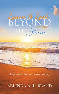 Learn to Look Beyond The Storm - 9781630506308