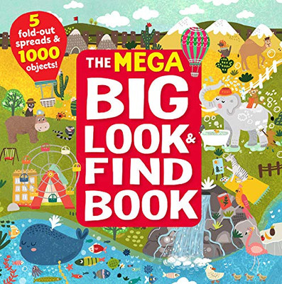 Big Look & Find Book