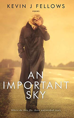 An Important Sky : Poems