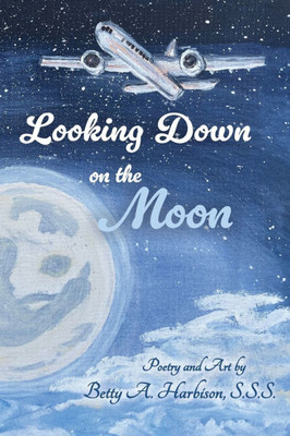 Looking down on the Moon