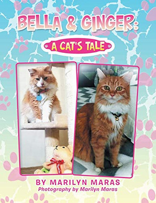 Bella & Ginger : A Cat's Tale