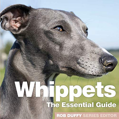 Whippets : The Essential Guide