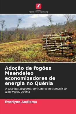 AdoÃ§Ã£o de fogÃµes Maendeleo economizadores de energia no QuÃ©nia