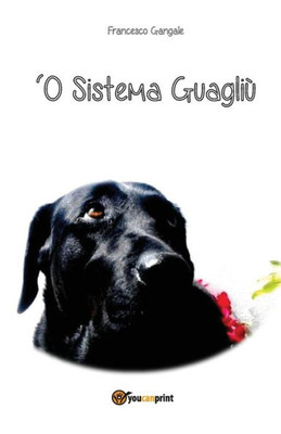'O Sistema Guagliù