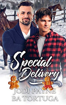 Special Delivery : A Wrecked Holiday Novel