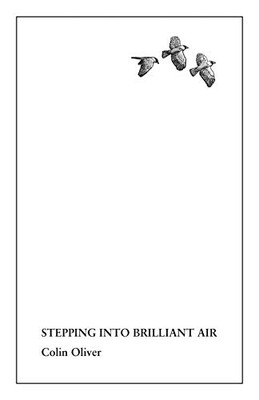 Stepping Into Brilliant Air - 9781908774767