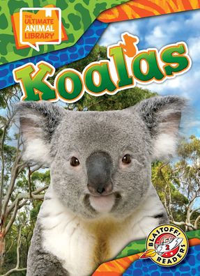 Koalas