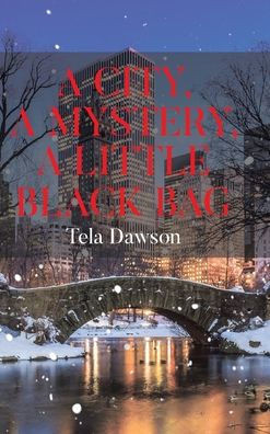 A City, a Mystery, a Little Black Bag