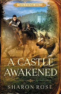A Castle Awakened : Castle in the Wilde - Novel 1
