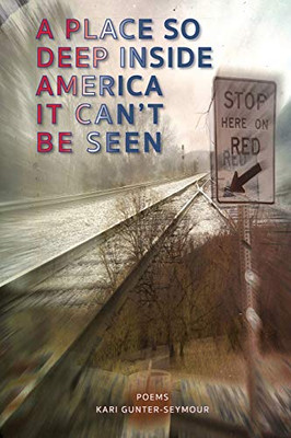 A Place So Deep Inside America It Can't Be Seen : Poems