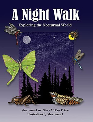A Night Walk : Exploring the Nocturnal World - 9781943201648