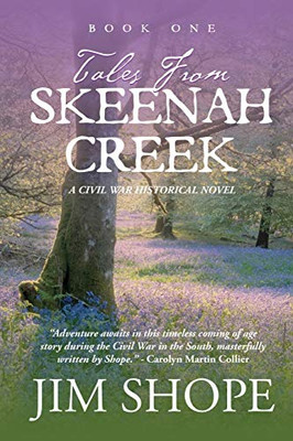 Tales From Skeenah Creek : A Civil War Historical Fiction Novel