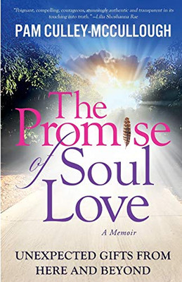 The Promise of Soul Love : Unexpected Gifts From Here and Beyond