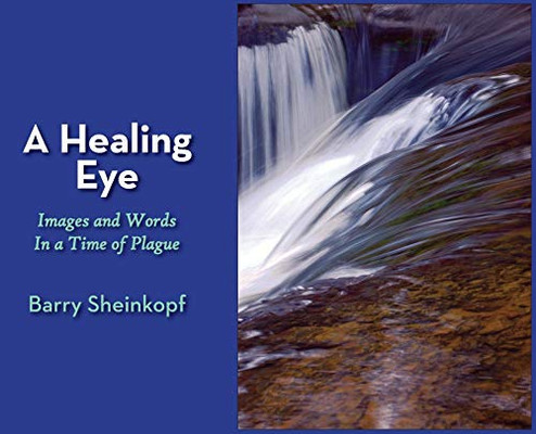 A Healing Eye : Images and Words in a Time of Plague - 9781946989673