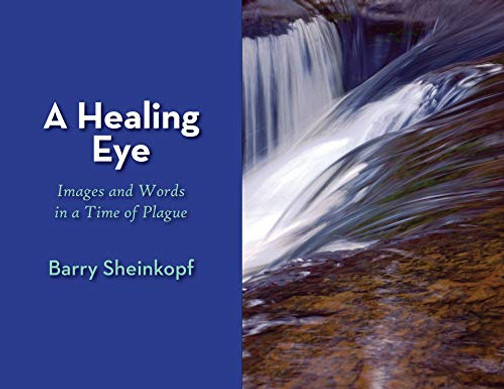 A Healing Eye : Images and Words in a Time of Plague - 9781946989659