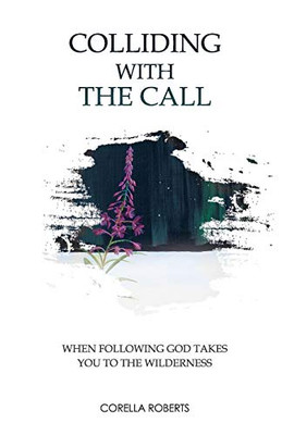 Colliding with the Call : When Following God Takes You to the Wilderness