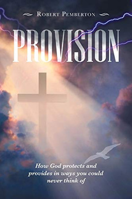 Provision : How God Protects and Provides in Ways You Could Never Think Of