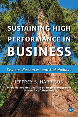Sustaining High Performance in Business : Systems, Resources, and Stakeholders