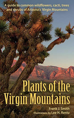 Plants of the Virgin Mountains : A Guide to Common Wildflowers, Cacti, Trees and Shrubs of Arizona's Virgin Mountains