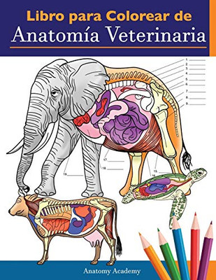 Libro para colorear de anatomía veterinaria: Libro de trabajo para colorear de autoevaluación de fisiología animal para estudiar y relajarse - Un rega