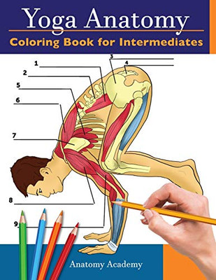 Yoga Anatomy Coloring Book for Intermediates : 50+ Incredibly Detailed Self-Test Intermediate Yoga Poses Color Workbook | Perfect Gift for Yoga Instructors, Teachers & Enthusiasts