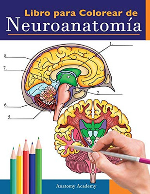 Libro para colorear de neuroanatomía : Libro para colorear detalladísimo de cerebro humano para autoevaluación en la neurociencia - Un regalo perfecto para estudiantes de medicina, enfermeras, médicos y adultos