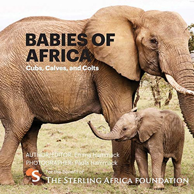 Babies of Africa : Cubs, Calves and Colts - 9781735583433