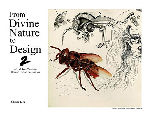 Creativity Beyond Human Imagination : A Look Into Creative Design in the Divine Universe