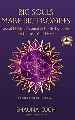 Big Souls, Big Promises : Reveal Hidden Personal & Family Dynamics to Unleash Your Purpose