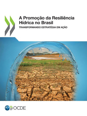 A Promoção Da Resiliência Hídrica No Brasil Transformando Estratégia Em Ação