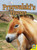 Przewalski's Horses