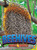 Beehives