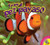 El Pez Payaso (Clownfish)