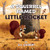 A Squirrel Named Little Rocket