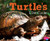 A Turtle's Life Cycle