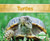 Turtles
