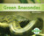 Green Anacondas