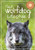 That Wolfdog Lifestyle : At Yamnuska Wolfdog Sanctuary